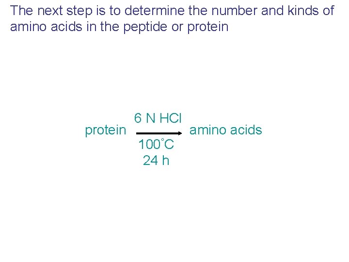 The next step is to determine the number and kinds of amino acids in The next step is to determine the number and kinds of amino acids in