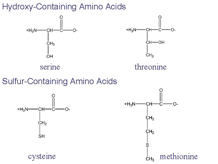 Hydroxy-Containing Amino Acids serine threonine Sulfur-Containing Amino Acids cysteine methionine Hydroxy-Containing Amino Acids serine threonine Sulfur-Containing Amino Acids cysteine methionine