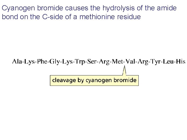 Cyanogen bromide causes the hydrolysis of the amide bond on the C-side of a Cyanogen bromide causes the hydrolysis of the amide bond on the C-side of a