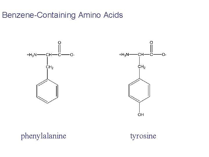 Benzene-Containing Amino Acids phenylalanine tyrosine Benzene-Containing Amino Acids phenylalanine tyrosine