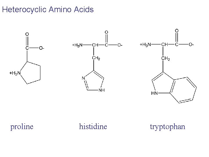 Heterocyclic Amino Acids proline histidine tryptophan Heterocyclic Amino Acids proline histidine tryptophan