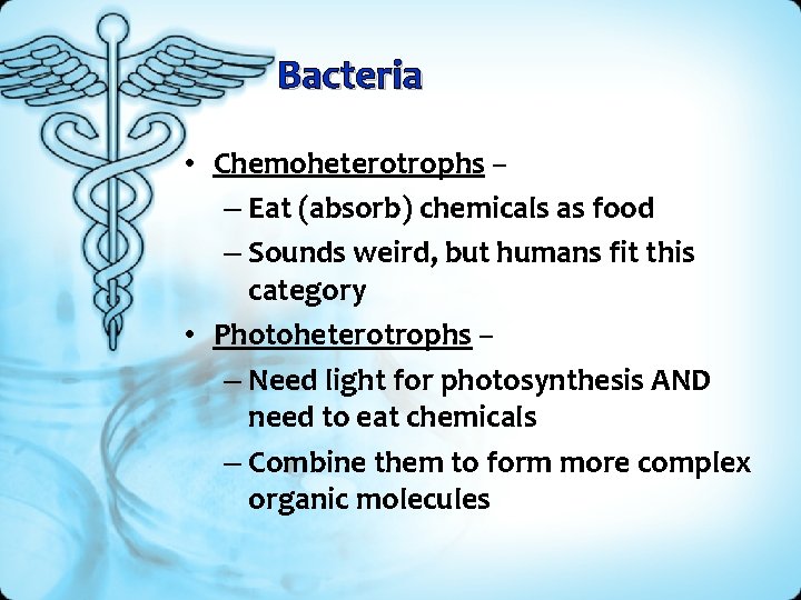 Bacteria • Chemoheterotrophs – – Eat (absorb) chemicals as food – Sounds weird, but