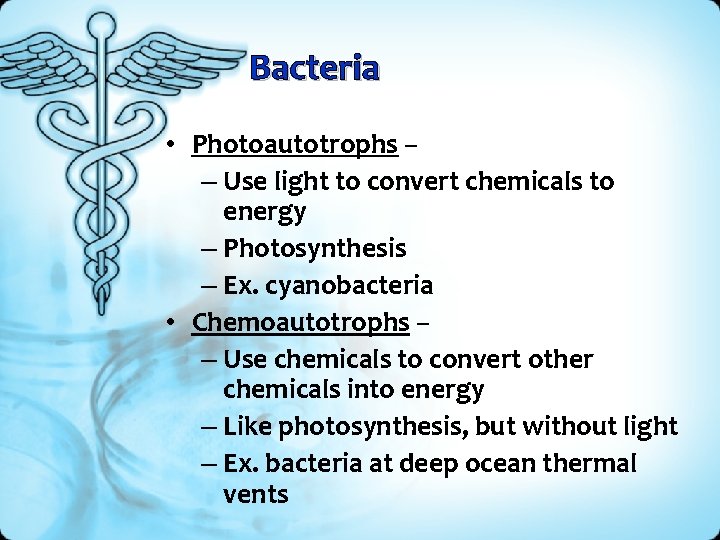 Bacteria • Photoautotrophs – – Use light to convert chemicals to energy – Photosynthesis