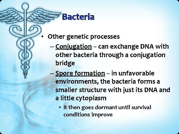 Bacteria • Other genetic processes – Conjugation – can exchange DNA with other bacteria