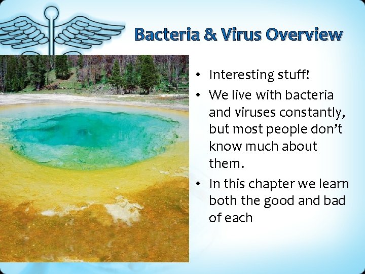 Bacteria & Virus Overview • Interesting stuff! • We live with bacteria and viruses