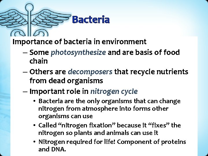 Bacteria Importance of bacteria in environment – Some photosynthesize and are basis of food