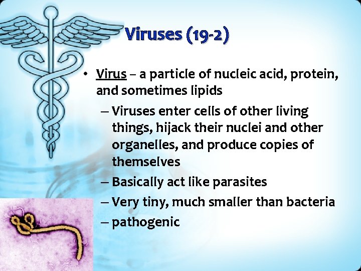 Viruses (19 -2) • Virus – a particle of nucleic acid, protein, and sometimes