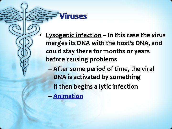 Viruses • Lysogenic infection – In this case the virus merges its DNA with