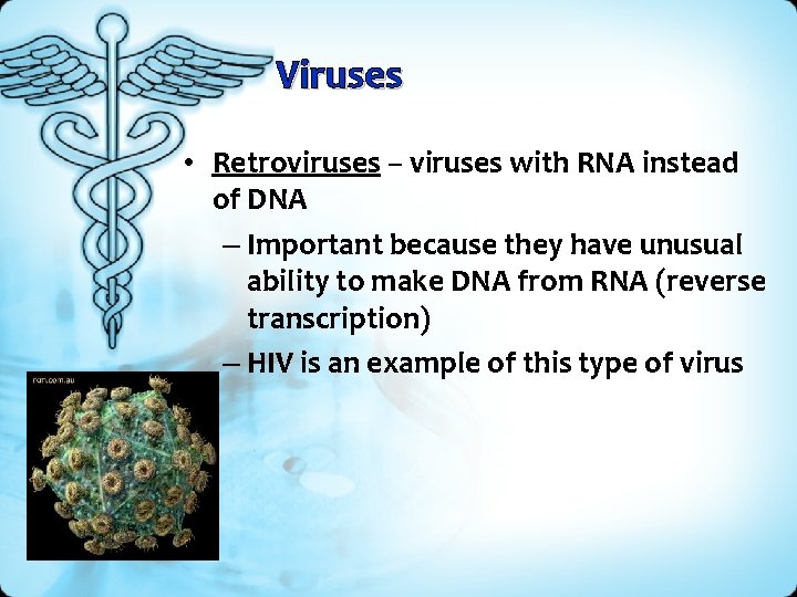 Viruses • Retroviruses – viruses with RNA instead of DNA – Important because they