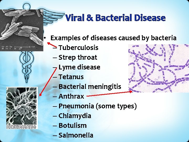 Viral & Bacterial Disease • Examples of diseases caused by bacteria – Tuberculosis –