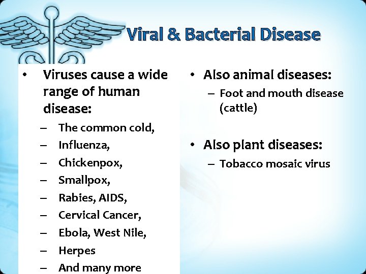 Viral & Bacterial Disease • Viruses cause a wide range of human disease: –