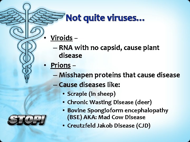 Not quite viruses… • Viroids – – RNA with no capsid, cause plant disease