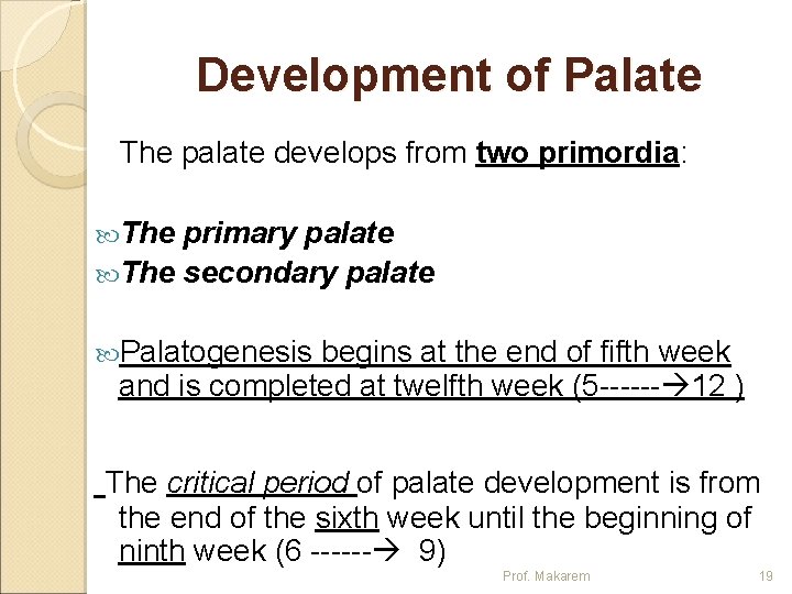 Development of Palate The palate develops from two primordia: The primary palate The secondary