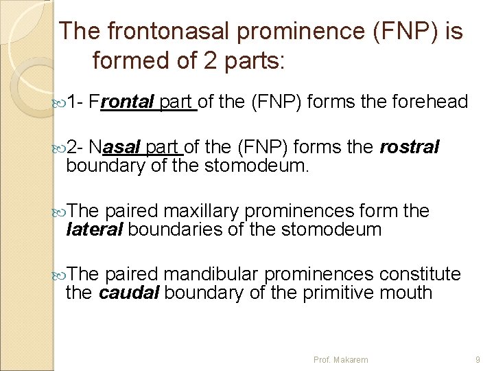 The frontonasal prominence (FNP) is formed of 2 parts: 1 - Frontal part of