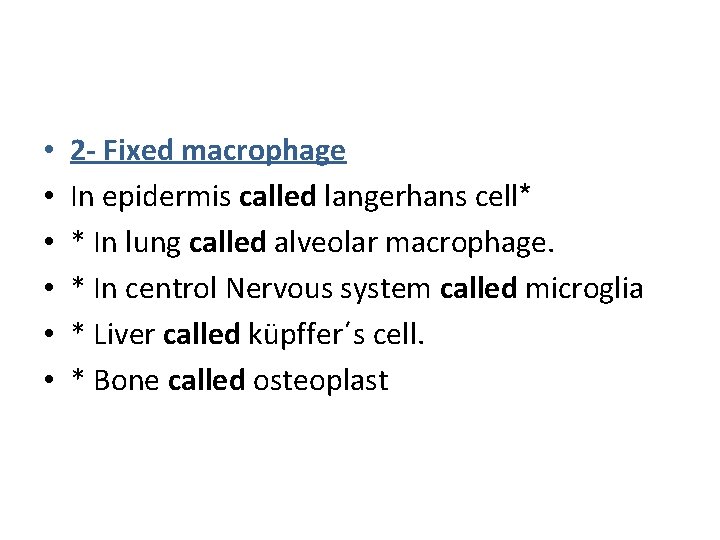  • • • 2 - Fixed macrophage In epidermis called langerhans cell* *