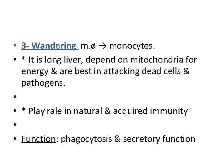  • 3 - Wandering m. ø → monocytes. • * It is long