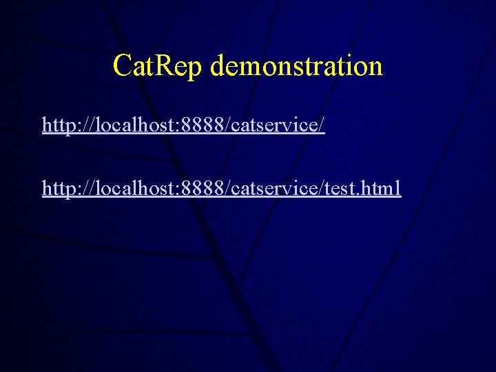 Cat. Rep demonstration http: //localhost: 8888/catservice/test. html 