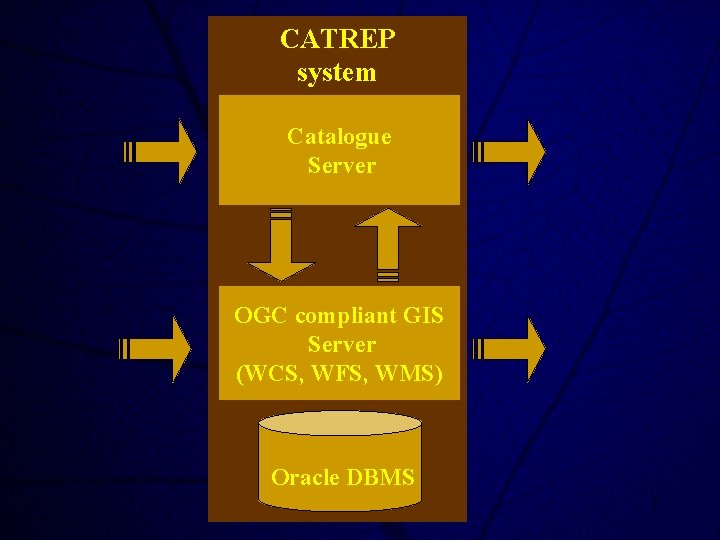 CATREP system Catalogue Server OGC compliant GIS Server (WCS, WFS, WMS) Oracle DBMS Russian