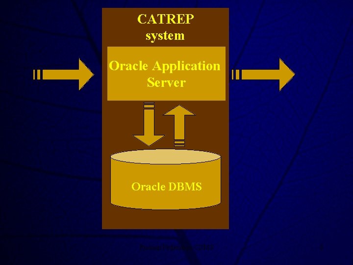 CATREP system Oracle Application Server Oracle DBMS Russian Federation CDMS 8 