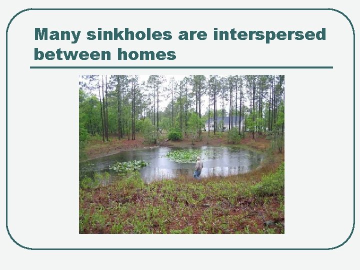 Many sinkholes are interspersed between homes 