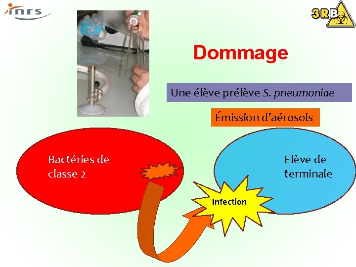 Dommage Une élève prélève S. pneumoniae Émission d’aérosols Elève de terminale Bactéries de classe