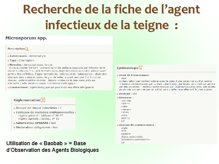 Recherche de la fiche de l’agent infectieux de la teigne : Utilisation de «