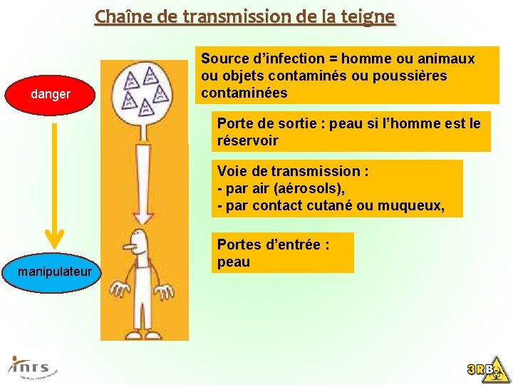 Chaîne de transmission de la teigne danger Source d’infection = homme ou animaux ou