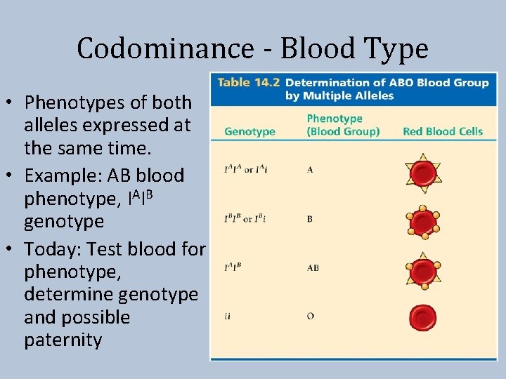 Codominance - Blood Type • Phenotypes of both alleles expressed at the same time.