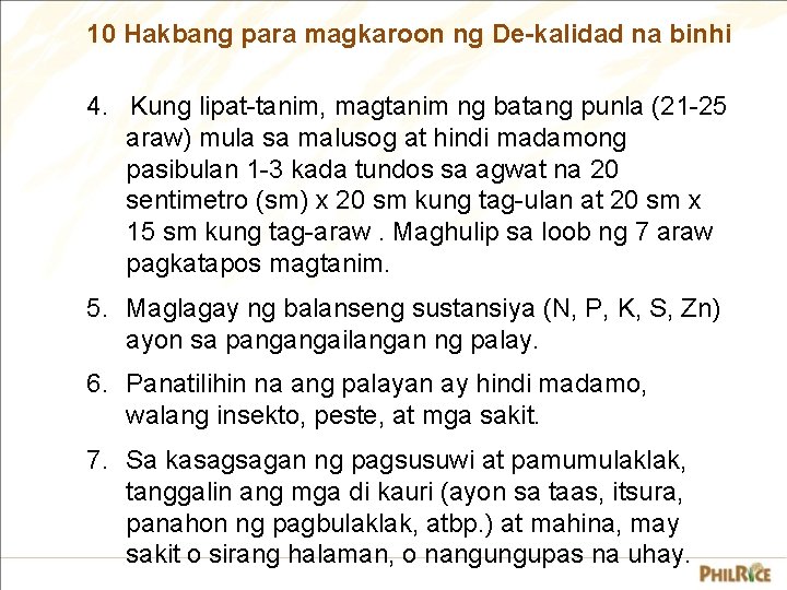 10 Hakbang para magkaroon ng De-kalidad na binhi 4. Kung lipat-tanim, magtanim ng batang