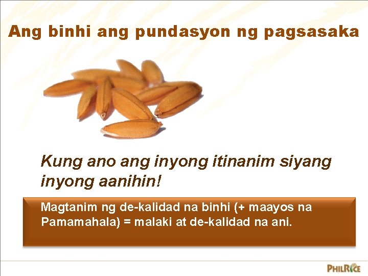 Ang binhi ang pundasyon ng pagsasaka Kung ano ang inyong itinanim siyang inyong aanihin! Ang binhi ang pundasyon ng pagsasaka Kung ano ang inyong itinanim siyang inyong aanihin!