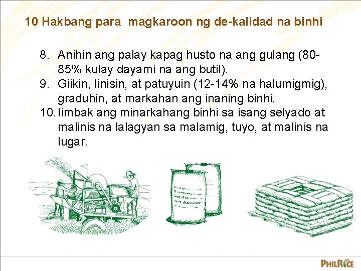 10 Hakbang para magkaroon ng de-kalidad na binhi 8. Anihin ang palay kapag husto 10 Hakbang para magkaroon ng de-kalidad na binhi 8. Anihin ang palay kapag husto