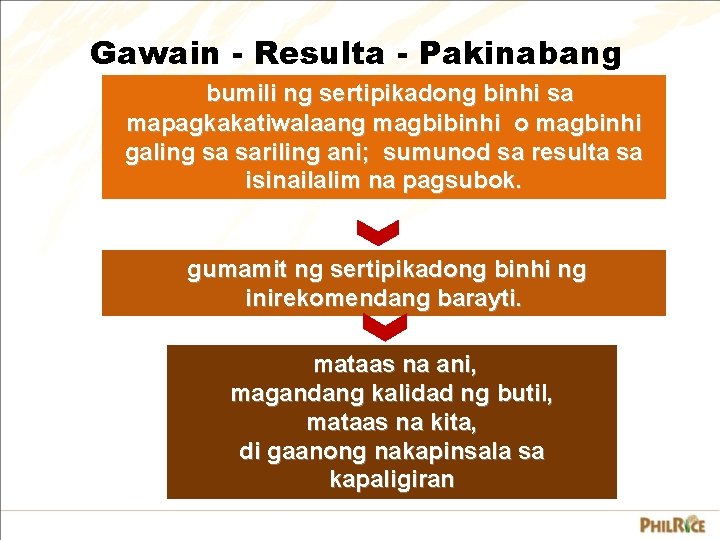 Gawain - Resulta - Pakinabang bumili ng sertipikadong binhi sa mapagkakatiwalaang magbibinhi o magbinhi