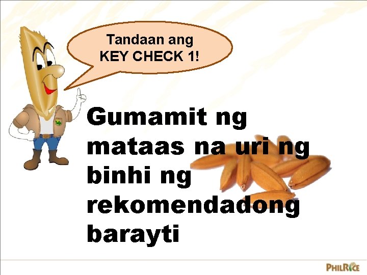 Tandaan ang KEY CHECK 1! Gumamit ng mataas na uri ng binhi ng rekomendadong