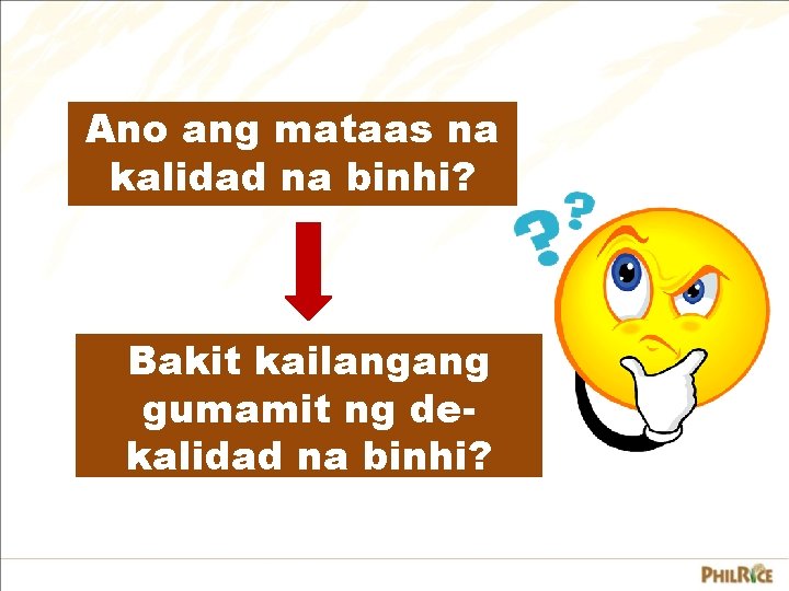 Ano ang mataas na kalidad na binhi? Bakit kailangang gumamit ng dekalidad na binhi? Ano ang mataas na kalidad na binhi? Bakit kailangang gumamit ng dekalidad na binhi?