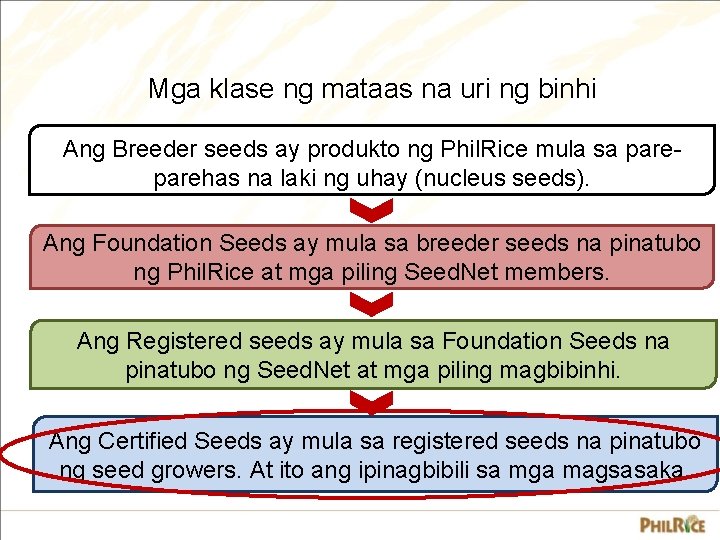 Mga klase ng mataas na uri ng binhi Ang Breeder seeds ay produkto ng