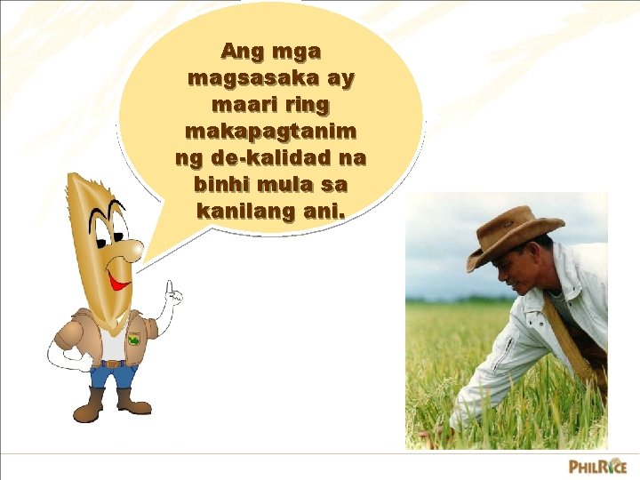 Ang mga magsasaka ay maari ring makapagtanim ng de-kalidad na binhi mula sa kanilang Ang mga magsasaka ay maari ring makapagtanim ng de-kalidad na binhi mula sa kanilang