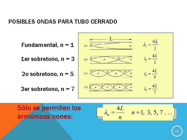 POSIBLES ONDAS PARA TUBO CERRADO Fundamental, n = 1 L 1 er sobretono, n
