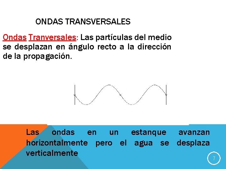 ONDAS TRANSVERSALES Ondas Tranversales: Las partículas del medio se desplazan en ángulo recto a