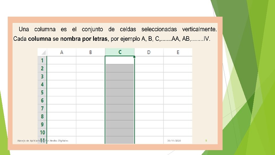 Manejo de Aplicaciones Por Medios Digitales 30/11/2020 8 