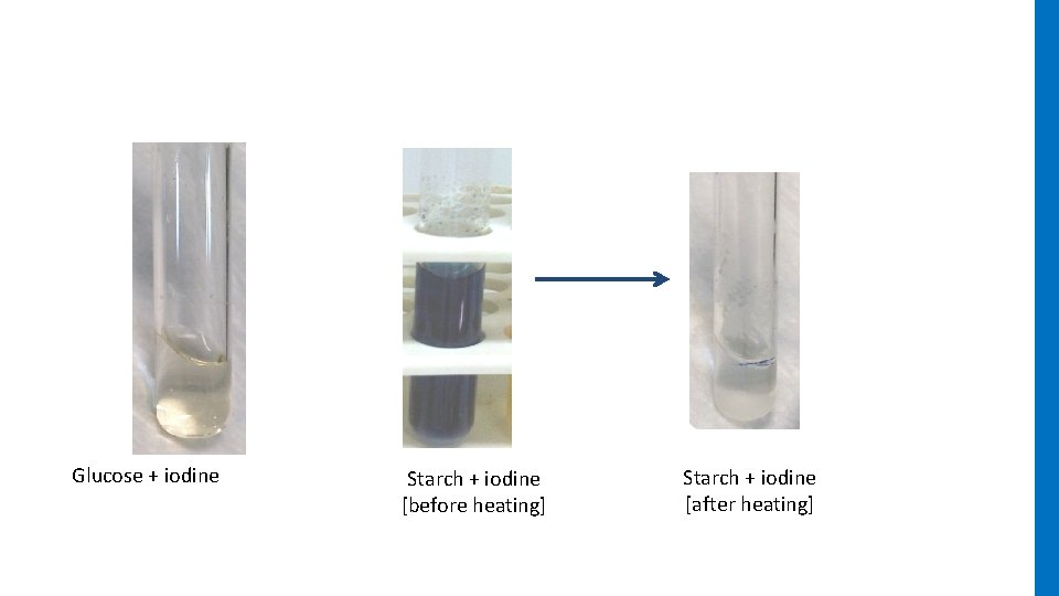 Glucose + iodine Starch + iodine [before heating] Starch + iodine [after heating] 