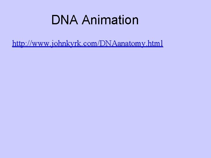 DNA Animation http: //www. johnkyrk. com/DNAanatomy. html 