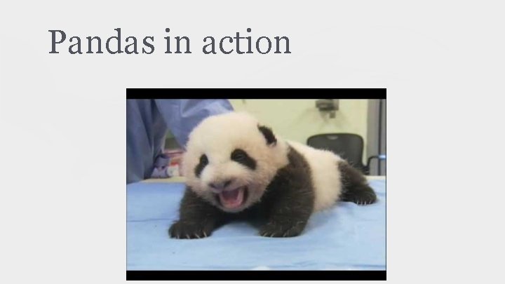 Pandas in action 
