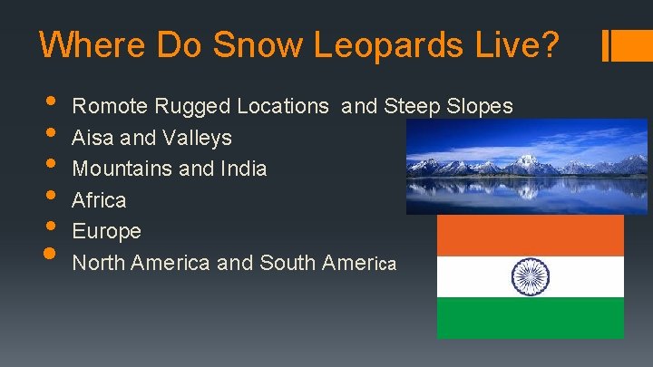 Where Do Snow Leopards Live? • • • Romote Rugged Locations and Steep Slopes