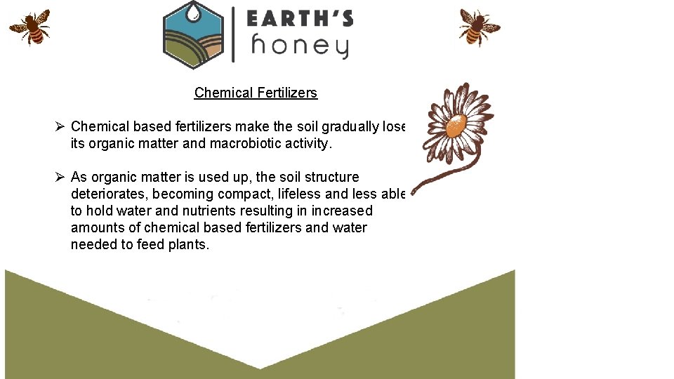 Chemical Fertilizers Ø Chemical based fertilizers make the soil gradually lose its organic matter