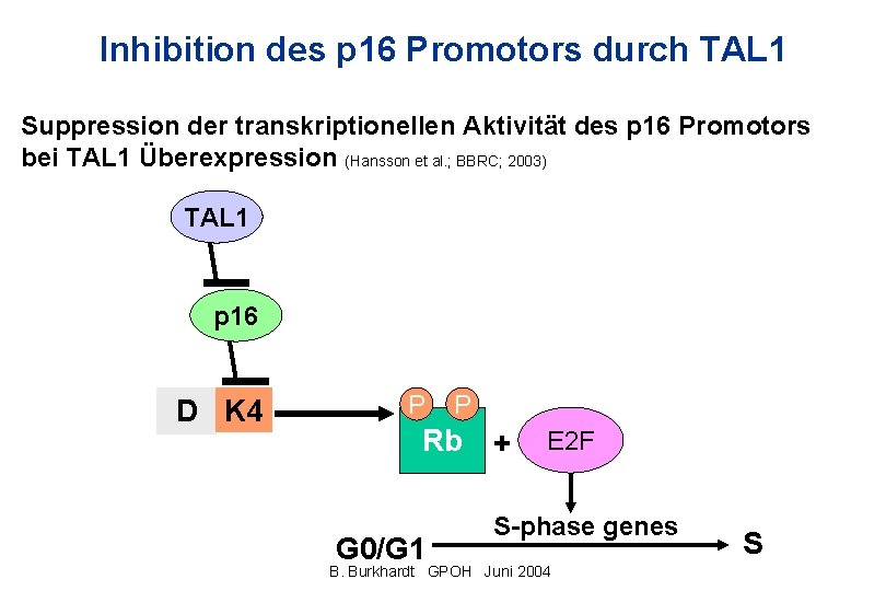 Inhibition des p 16 Promotors durch TAL 1 Suppression der transkriptionellen Aktivität des p