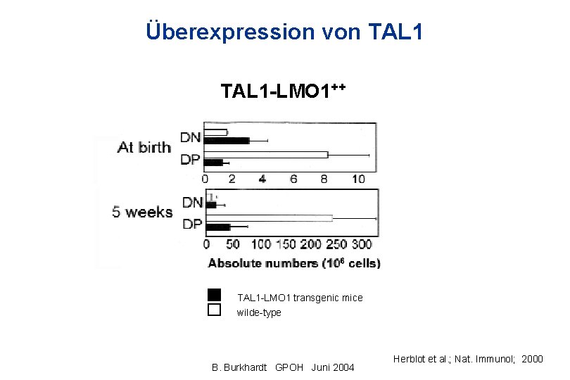 Überexpression von TAL 1 -LMO 1++ TAL 1 -LMO 1 transgenic mice wilde-type B.