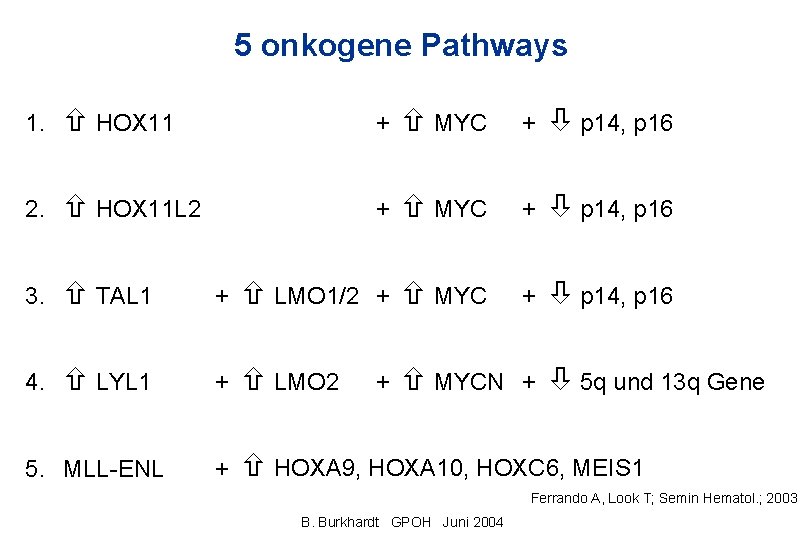 5 onkogene Pathways 1. HOX 11 + MYC + p 14, p 16 2.