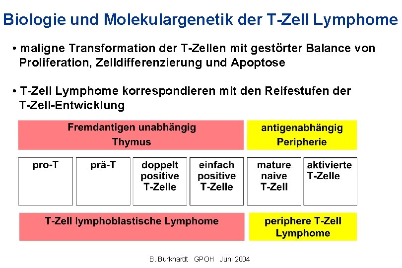 Biologie und Molekulargenetik der T-Zell Lymphome • maligne Transformation der T-Zellen mit gestörter Balance