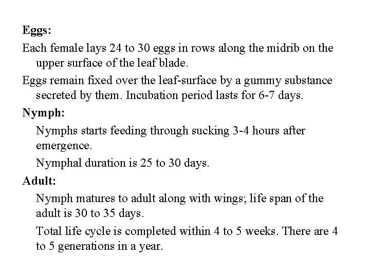 Eggs: Each female lays 24 to 30 eggs in rows along the midrib on
