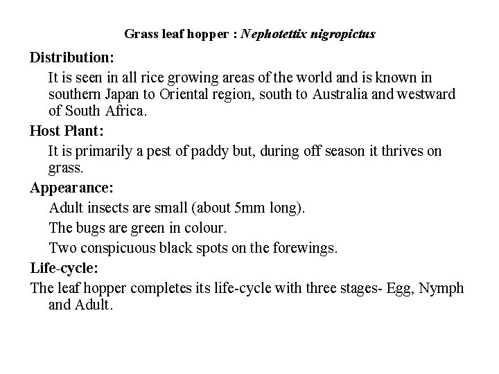 Grass leaf hopper : Nephotettix nigropictus Distribution: It is seen in all rice growing